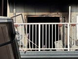 「焦げ臭い匂いがする」広島市のマンションで火事　全焼の部屋から男性１人の遺体　住人1人もけが　中区・舟入中町|TBS NEWS DIG