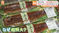「土用の丑の日」物価高でも…あの手この手の“うなぎ商戦”　大手スーパーの目玉は「超特大」| TBS CROSS DIG with Bloomberg