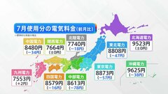 大手電力の「規制料金」7月使用分電気代　10社のうち7社で値下がりへ　火力発電の燃料価格下落受け| TBS CROSS DIG with Bloomberg