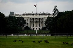 バイデン米政権、数日内に中国製半導体に対する貿易調査開始へ| TBS CROSS DIG with Bloomberg