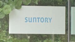 サントリーHD　来春も7％程度の賃上げへ　実現すれば3年連続| TBS CROSS DIG with Bloomberg