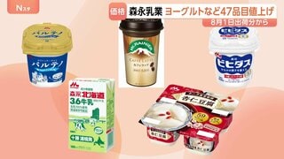 森永乳業 牛乳やヨーグルトなど47品目を8月から値上げ　中東情勢などの影響で「各種コストの上昇が継続」| TBS CROSS DIG with Bloomberg