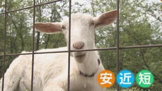 最大12連休のGW！物価高と円安が直撃…旅行会社は苦戦　“安近短”のキャンプ場は予約満杯に　富山　|　富山のニュース｜天気・防災｜チューリップテレビ