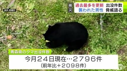 クマに襲われたラーメン店員 無我夢中で殴り『大外刈り』で投げ飛ばし