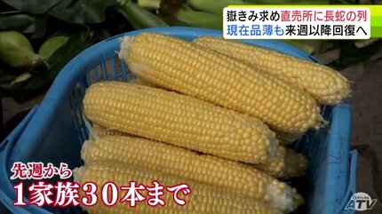 糖度メロン並の約18度ブランドトウモロコシ「嶽きみ」求めて 朝から150