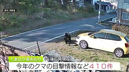 クマを定着させない」津軽半島は全頭駆除の方針 青森県が今年度のクマ