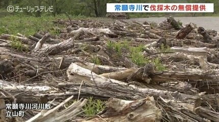 きりかぶ／流木（河川敷） きりかぶ／流木（河川敷）