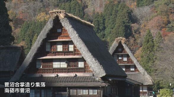 「世界遺産の茅を守る」五箇山・菅沼集落 “茅”の自給率100%に向け新しい茅場を整備 児童と県外ボランティアらが未来へ向け株を植え付け 富山・南砺市 | 富山のニュース|天気・防災|チューリップテレビ