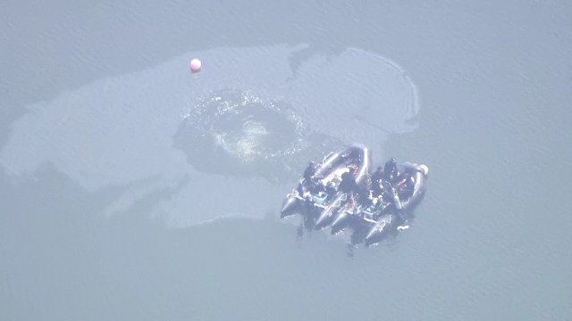 “油”が浮いているのを新たに確認 自衛隊機の墜落事故から1週間 搭乗員2人の捜索活動続く 隣接する「博物館明治村」は24日(土)から営業再開|TBS NEWS DIG