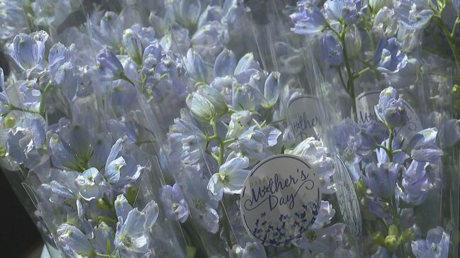 母の日にさわやかなブルーの花束「デルフィニウム」を贈りませんか? 北海道新ひだか町|TBS NEWS DIG