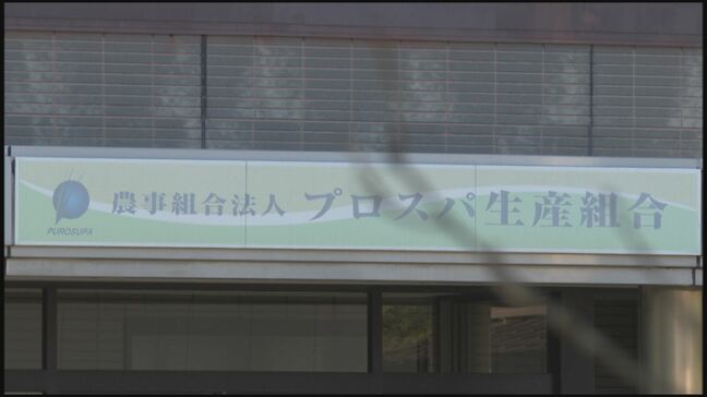 農業法人「プロスパ生産組合」が破産開始決定　負債総額は2億8千万円　大分・豊後大野市|TBS NEWS DIG