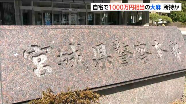 家宅捜索で乾燥大麻2キロ発見　詐欺容疑の男を再逮捕　販売目的で1000万円相当を所持か　宮城|TBS NEWS DIG