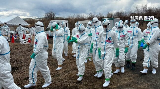 「安全に最善の対策をやっております」35年ぶりに"豚熱"発生 人への感染はなく知事が「冷静な対応」呼びかけ 富士宮の養豚場で2200頭殺処分 |TBS NEWS DIG