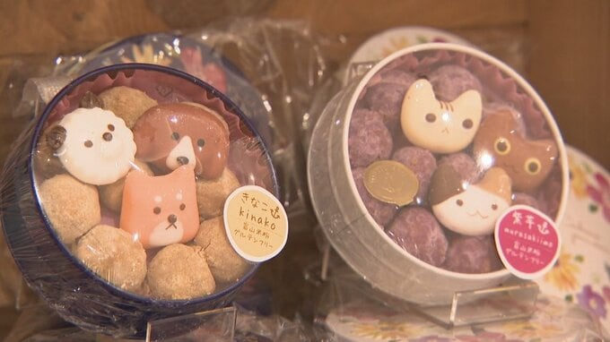 自慢のスイーツが勢揃い…ホワイトデーを前に厳選21店舗から一堂に　富山　|　富山のニュース｜天気・防災｜チューリップテレビ
