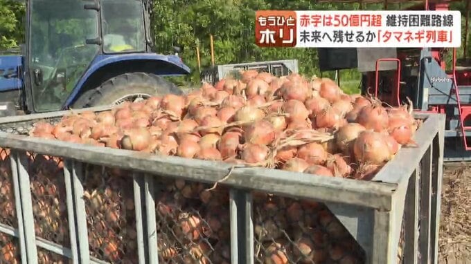収穫ピークを迎えた北海道北見市のタマネギ