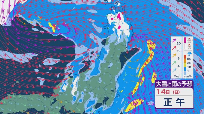 【北陸・北日本では暴風に警戒を】低気圧が急速に発達し通過 14日(日)は北陸や東北、北海道では風が激しく雨や雪をともない荒れる天気に 雪・雨と風シミュレーション　|　石川県のニュース｜MRO北陸放送
