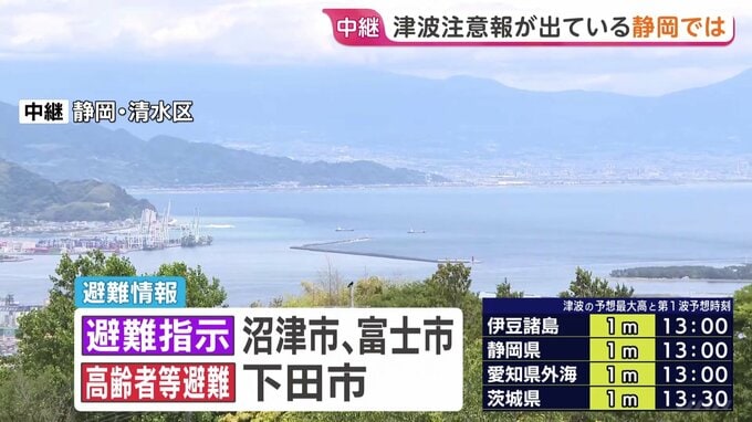 静岡県には午後1時ごろに津波到達の予想　沼津市は市内の海岸・河口付近エリアに警戒レベル4の「避難指示」|TBS NEWS DIG