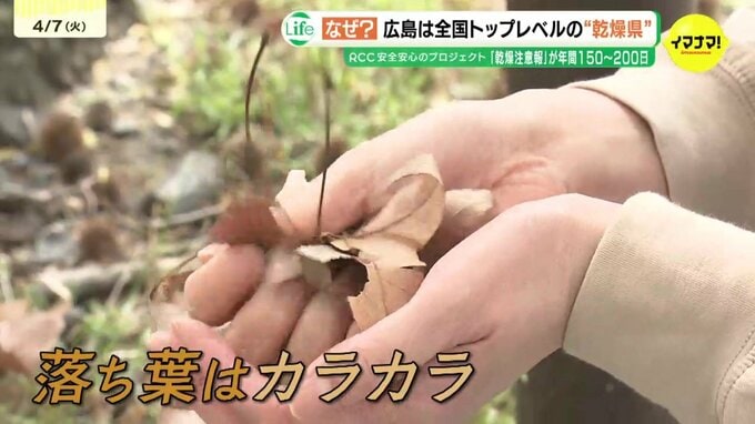 1年の半分は「乾燥注意報」　空気カラカラ「乾燥県」広島　岡山の10倍以上の年も　異常に乾燥する理由とは　|　RCC NEWS | 広島ニュース | RCC中国放送