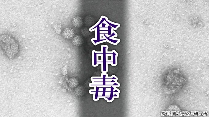 【食中毒】高齢者施設でノロウイルスによる集団食中毒　入所者など23人におう吐や下痢などの症状　施設の調理業務受託業者に営業禁止命令　広島　|　RCC NEWS | 広島ニュース | RCC中国放送