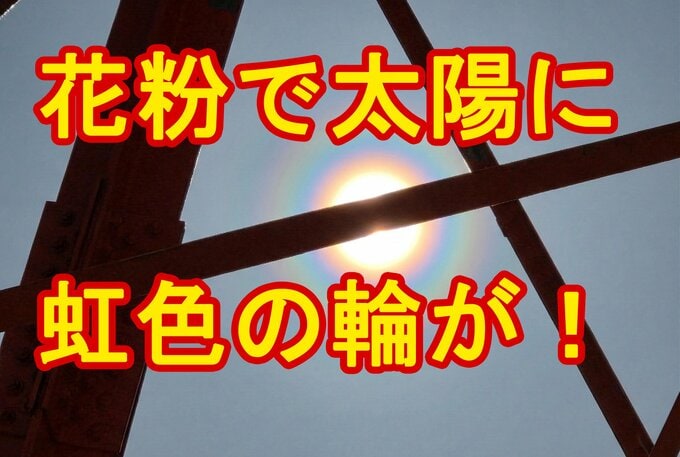 7日はスギ花粉"超大量飛散"　宮城県内では半日で3400個もの花粉観測した所も　「花粉光環」も出現し花粉症患者には辛い一日に|TBS NEWS DIG
