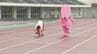 「最も速い100m四足走行」ギネス世界記録保持者が対決したのは…“妖精”　一体なぜ？　異色の30メートル走対決、勝負の行方は？　|　BSSニュース | BSS山陰放送