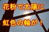 7日はスギ花粉"超大量飛散"　宮城県内では半日で3400個もの花粉観測した所も　「花粉光環」も出現し花粉症患者には辛い一日に　|　宮城のニュース│tbc NEWS│tbc東北放送