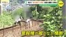 後を絶たない“勝手踏切”での事故　JR山陽線でも横断中の男性(80)が列車にはねれれ死亡　付近住民は「柵などしてほしい」と対策望む　広島　|　RCC NEWS | 広島ニュース | RCC中国放送