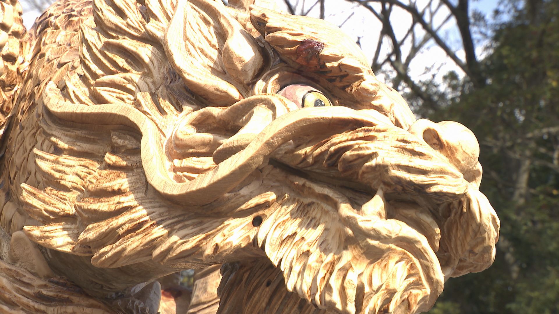 img_eb1dc916f10d2813bee8a3123f