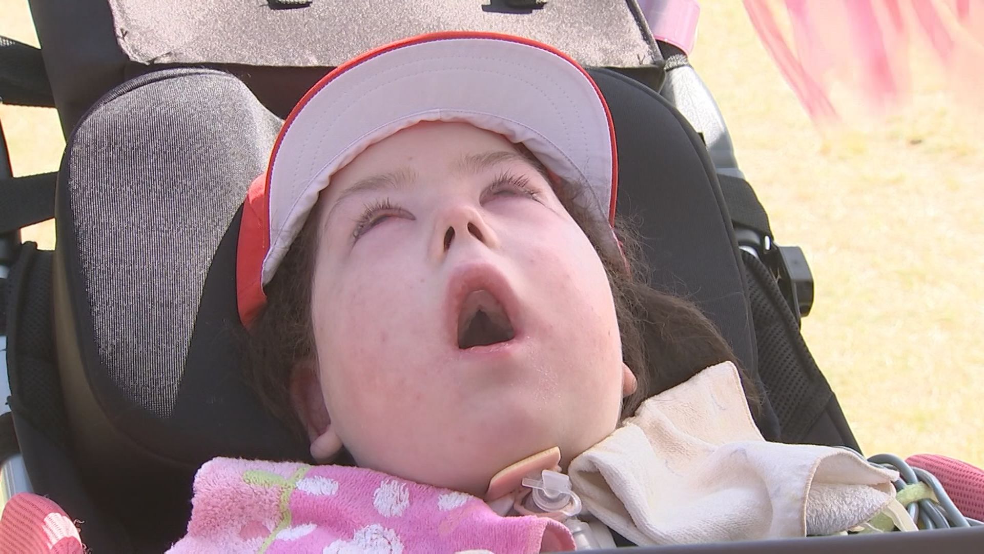 ベッドサイド老年病学 ベッドサイド老年病学