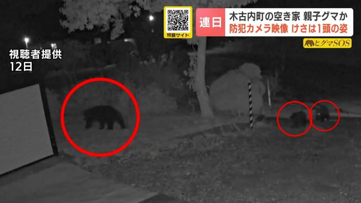 クマ出没】山中の空き家に親子とみられるクマ3頭 母グマの後を追う子