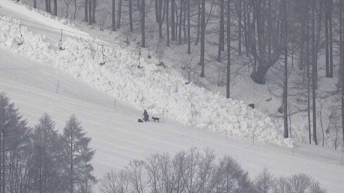 速報】スキー場の雪崩で5人巻き込まれる…4人が重軽傷【発生現場の写真