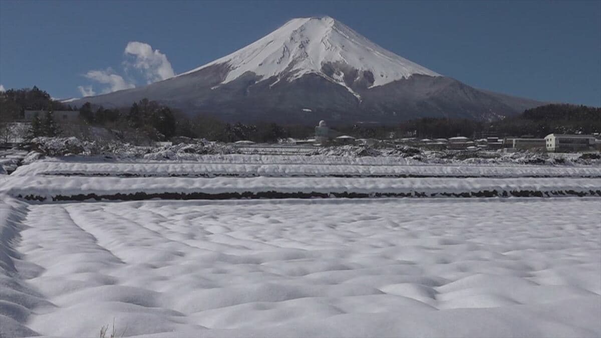 県内は3日から雨や雪　山中湖で最大20㎝の積雪　大雪の可能性は低くなるも、積雪がある場所は路面の凍結に注意　山梨
