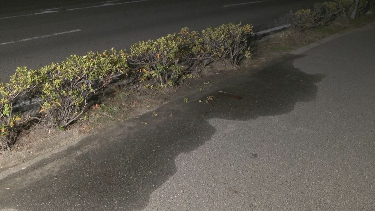 「殺すつもりで刺した」路上で男性を包丁で切りつけ殺害しようとした疑い　男（36）を現行犯逮捕　愛知・岡崎市