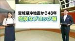 仙台市だけなぜ低い?宮城県と同じ条件で危険なブロック塀の改善率を比べると…【宮城県沖地震から48年】|TBS NEWS DIG