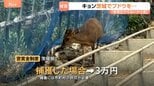 「やめろやめろ！」キョンがブドウをムシャムシャ　茨城でも農作物被害　茨城に定着すると本州全域に定着のおそれも|TBS NEWS DIG