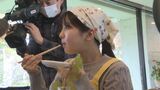 塩分控えめ鶏ひき肉と豆腐のハンバーグがメイン 大学生が開発に参加!栄養バランスを考えたお弁当「ヘルシーBOX」1つ1000円で販売開始 山口県光市のカフェ|TBS NEWS DIG
