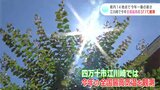 「うだるような暑さです…」14地点で今年一番の暑さ 江川崎では今年全国最高の37.1℃を観測|TBS NEWS DIG