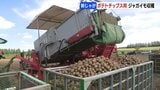 【新じゃが】ポテトチップス用ジャガイモ収穫が本格化「みんなの笑顔のもとになれるように」猛暑や日照りの影響でサイズは小ぶりでも味には自信|TBS NEWS DIG