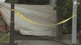 伊豆市修善寺の強盗事件で6人目の逮捕者 指定暴力団住吉会系組員の24歳の男を逮捕 指示を受け何らかの役割を果たしたか=静岡県警|TBS NEWS DIG