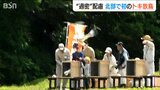 「初めて島の北側でトキを放鳥」佐渡の中央は個体数増え繁殖への影響懸念|TBS NEWS DIG