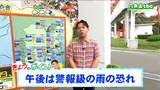 【大雨情報】「午後は警報級の大雨のおそれ、土砂災害などに注意・警戒」tbc気象台 17日|TBS NEWS DIG