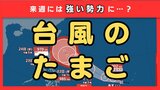 【最新台風情報】“台風のたまご”=熱帯低気圧が発生 今後24時間以内に台風へと発達する見込み 今後の進路は?【気象庁】|TBS NEWS DIG