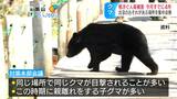 クマによる人への被害6月に入ってすでに4件「出没危険箇所」の集中点検実施へ…対策員がクマが潜みやすいヤブの刈り払いなどを巡回指導 | SBC NEWS | 長野のニュース | SBC信越放送