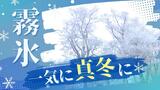 小雪が舞い、樹木に霧氷がついた朝～九州北部は１日、真冬並みの冷え込みに　|　福岡のニュース｜RKB NEWS｜RKB毎日放送