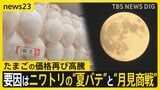 “エッグショック”再び…食卓にかかせないたまごの価格が高騰　要因はニワトリの“夏バテ”と“月見商戦”【news23】|TBS NEWS DIG