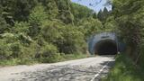 トンネル内を歩いているところを無事保護 山菜採りで行方不明の女性を発見 富山・黒部市|TBS NEWS DIG