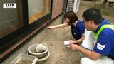 【山形大雨】「り災証明の発行を急ぎたい」酒田市で県内外の応援職員が入り住宅の被害調査 被害が大きく調査に時間がかかることを受け | 山形のニュース│TUYテレビユー山形