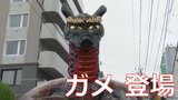 「ガメ」やユネスコ文化遺産の笠鉾も登場 八代妙見祭が3年ぶりに本格開催 | 熊本のニュース|RKK NEWS|RKK熊本放送