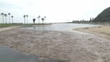 田ノ浦ビーチが遊泳禁止に　大雨の影響で海岸に大量の漂着物　再開は未定　大分　|　大分のニュース｜OBS NEWS｜大分放送