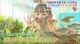 GWにおすすめ!1泊2日の絶景&グルメスポット ファミリープラン【後編】 | 福島のニュース│TUF